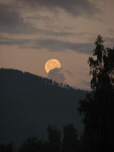 Vltava 2008 > obr (17)